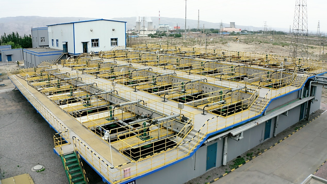 ������ | �ں��Ƿ�����������ɹ�������2023��Ƽ���������ҵ����