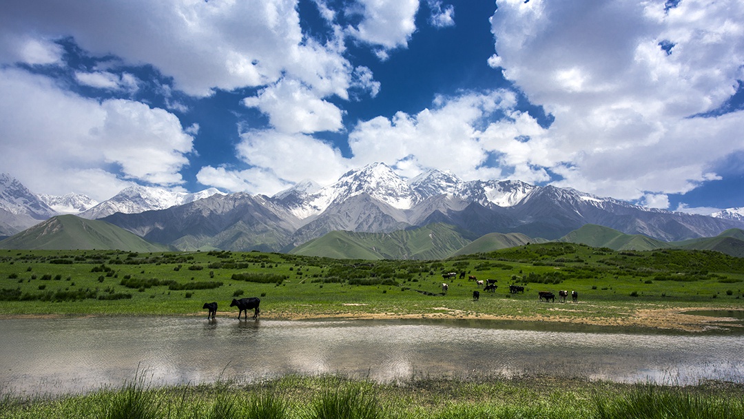 ��ͷ�� | һ���ڷǷ����ʳɹ���������ͭ��