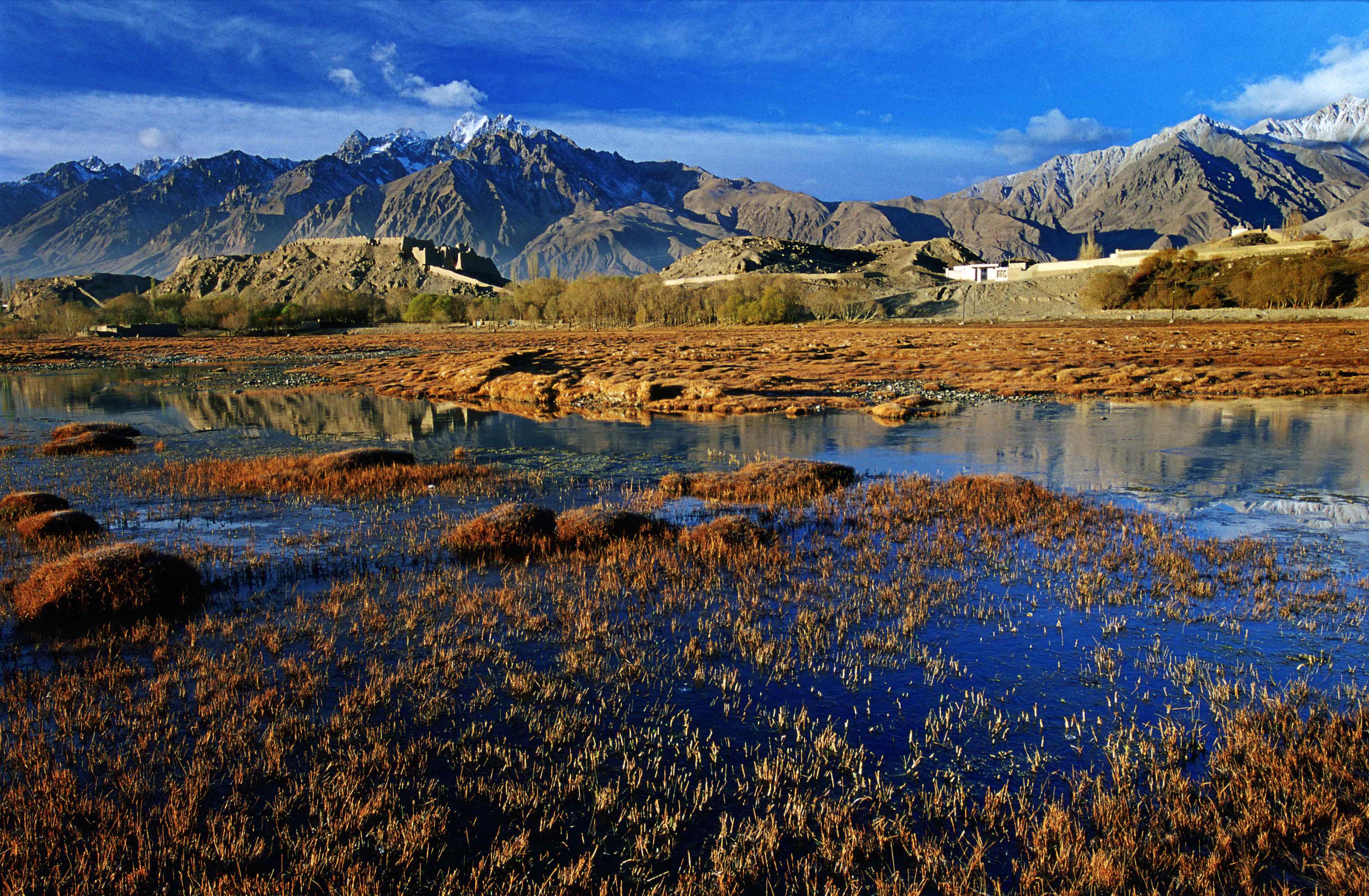 ��ͷ�� | һ���ڷǷ����ʳɹ���������ͭ��