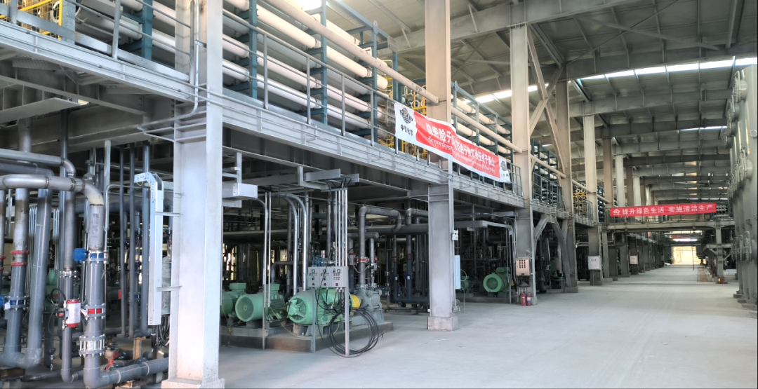 �Ƿ����ʼ����ٿ�2024��ȸ߼�������Ա�������� 